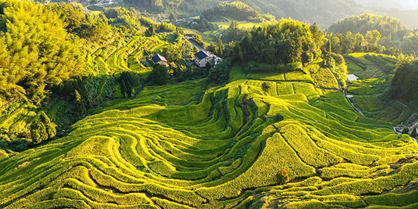 Marvel at Yuanyang Rice Terraces: World cultural heritage