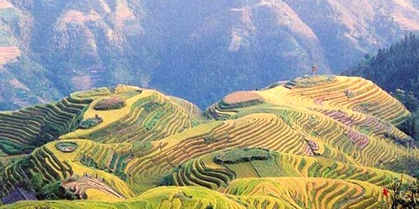 Trek Longji Terraces
