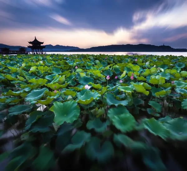 Hangzhou