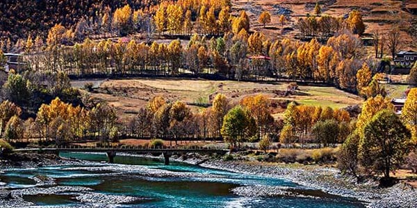Xinduqiao autumn scenery with golden poplar trees, river, and Tibetan villages in western Sichuan