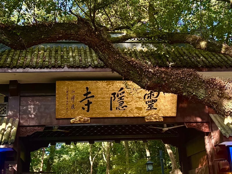Shanghai Hangzhou 4-Day Tour_Hangzhou_Explore Lingyin Temple